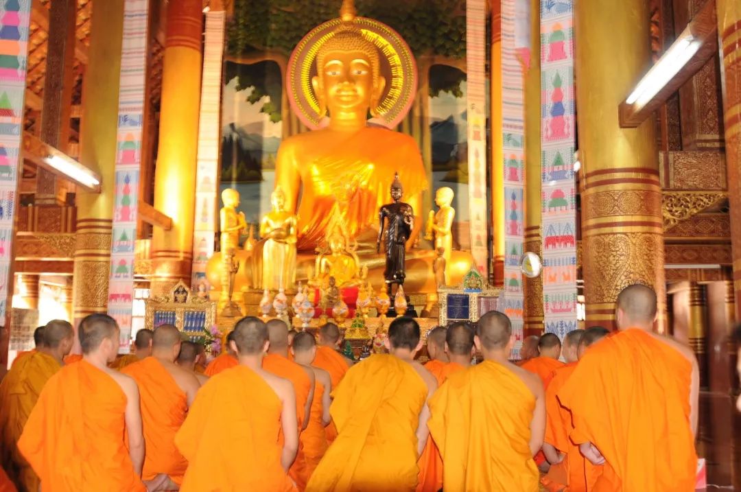 向往的生活第四季西双版纳第一集,向往的生活第四季西双版纳拍摄地