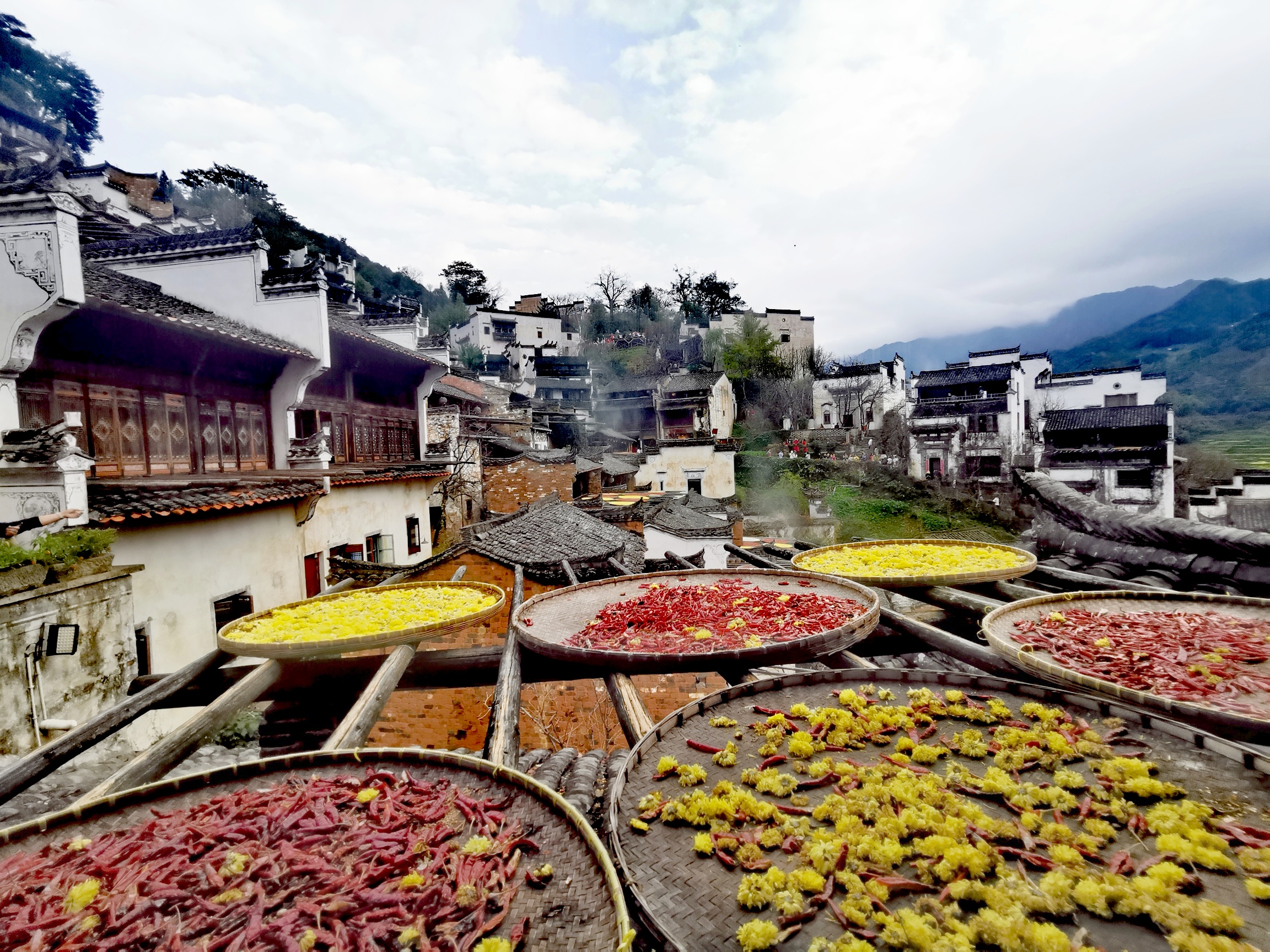 濠烘簮绡佸箔寰芥淳寤虹瓚浜虹敓鎰熸偀,濠烘簮绡佸箔鎰熸偀