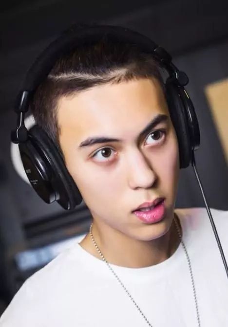 李玲玉吴磊,李玲玉混血儿子近照曝光