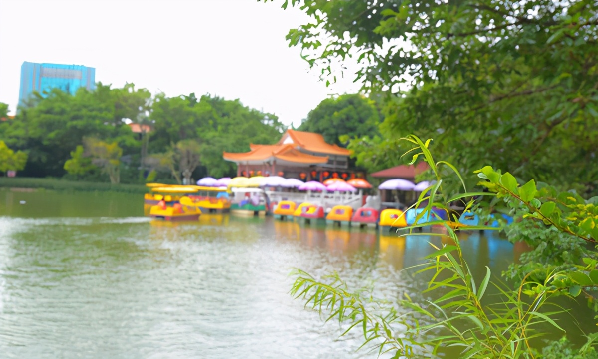 湿地公园菊展在哪,中山菊展一日游