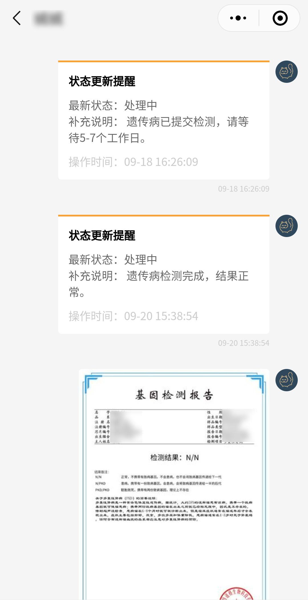 买布偶猫翻车,买猫遇到了黑心商家怎么办
