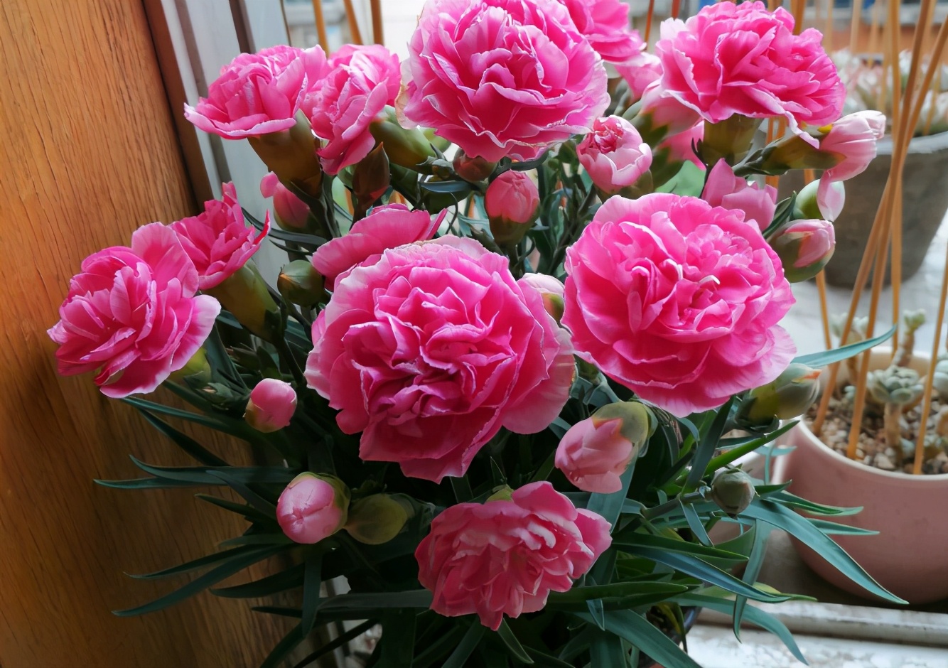 淘米水养花的正确方法和注意事项,鸡蛋壳淘米水做养花肥料的方法