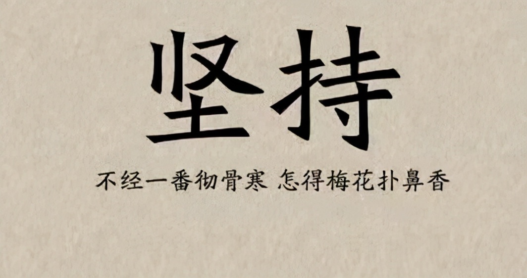 来到智汇盟的收获,我在成长中的蜕变