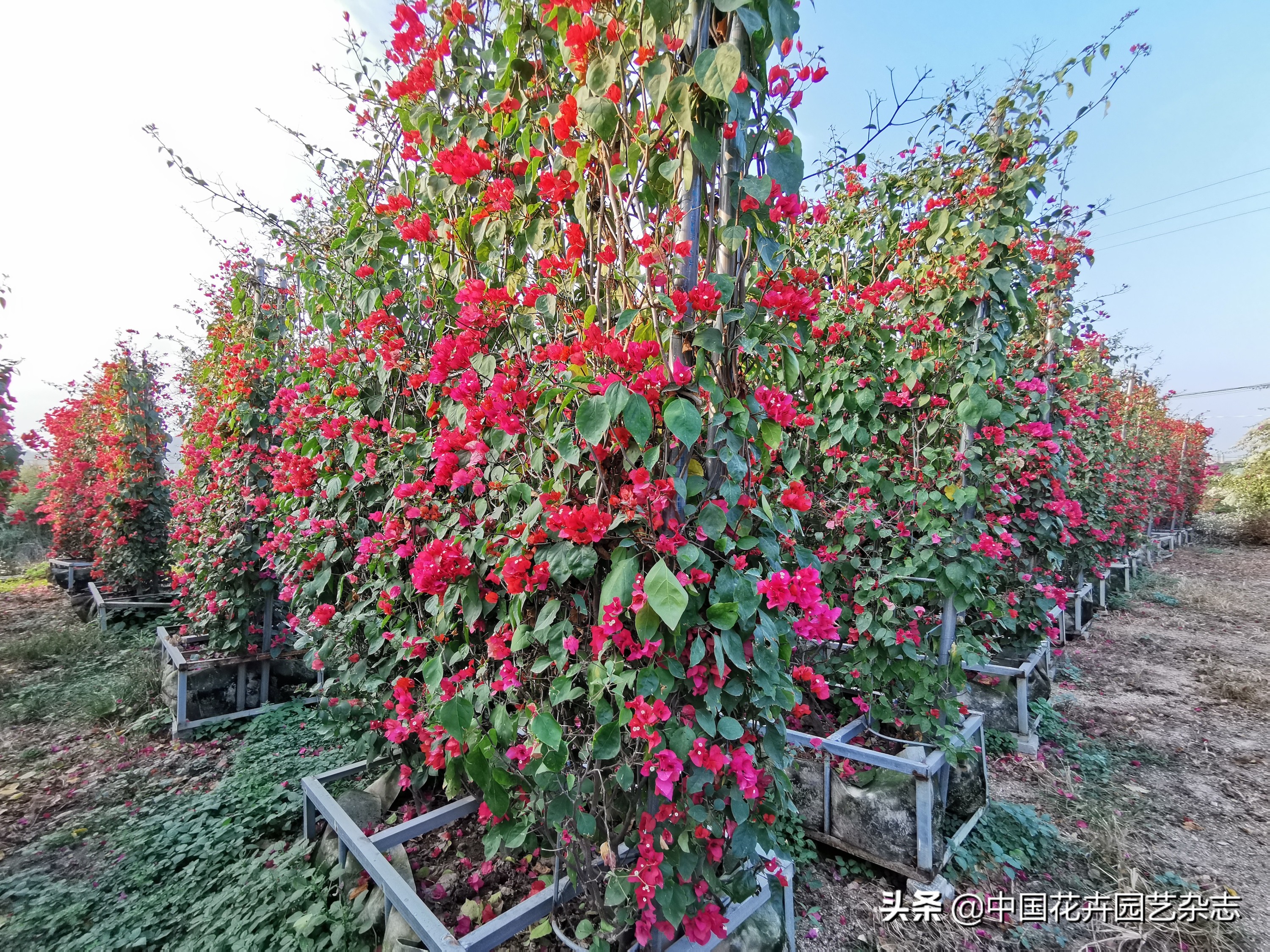 为产业发展提振信心注入新动能,为激发市场活力添动能