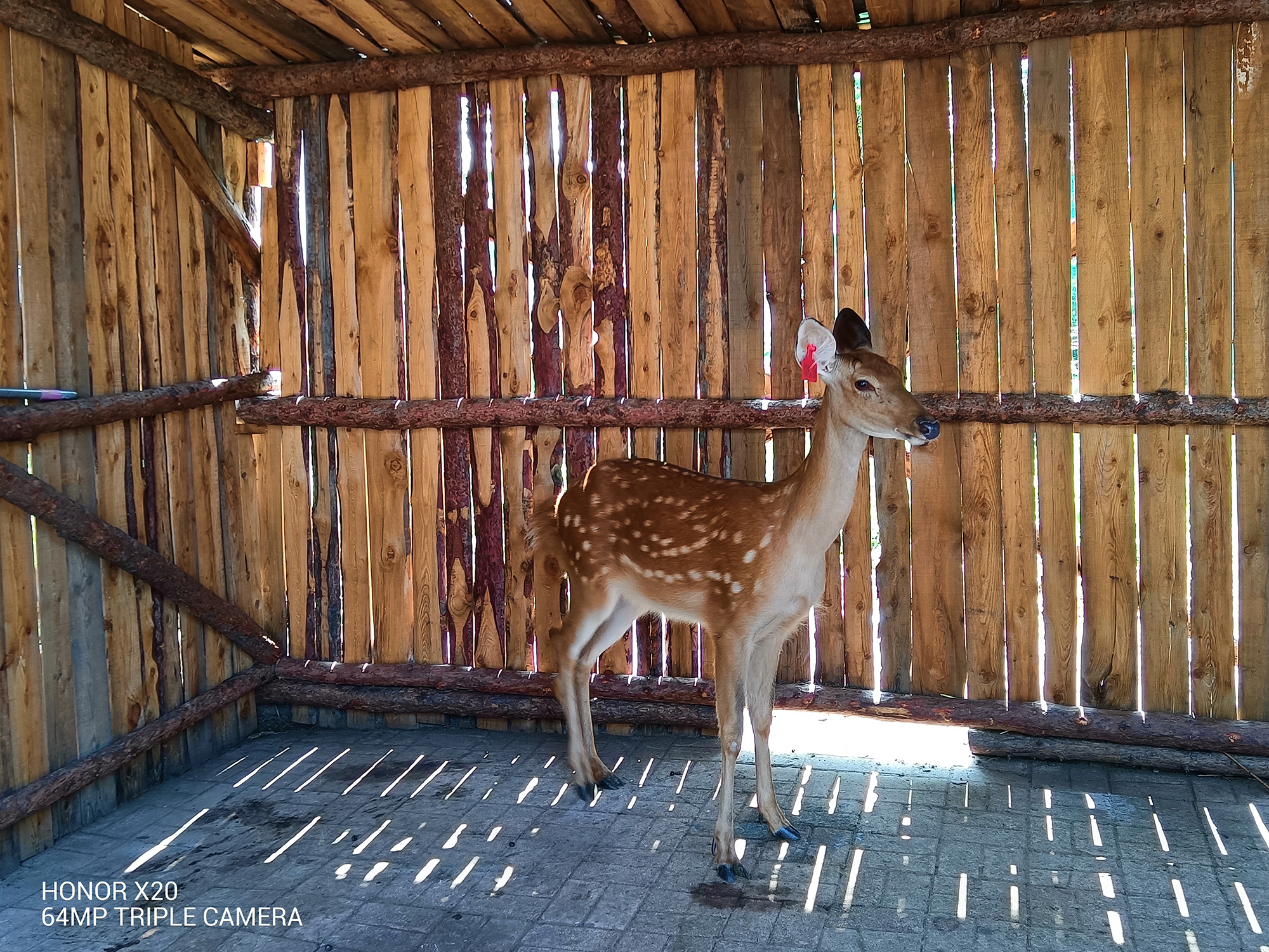 荣耀x20体验优缺点,荣耀x20优点与缺点