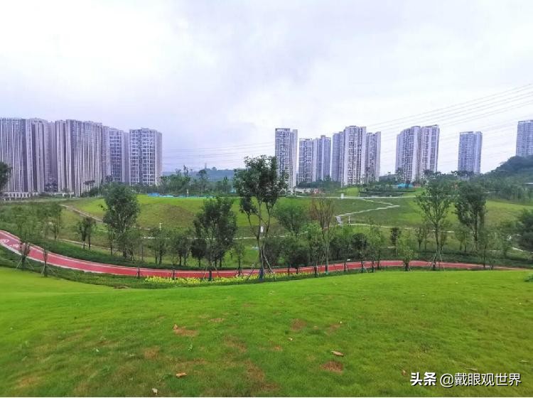 溉澜溪体育公园现在还有花吗,重庆溉澜溪体育公园足球场