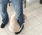 30种网赚骗术套路揭秘超深度干货,常见的20种网赚骗术揭秘