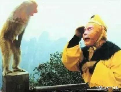 朋友圈最火的6张图片道破人性,朋友圈最火的4张图片道破人性