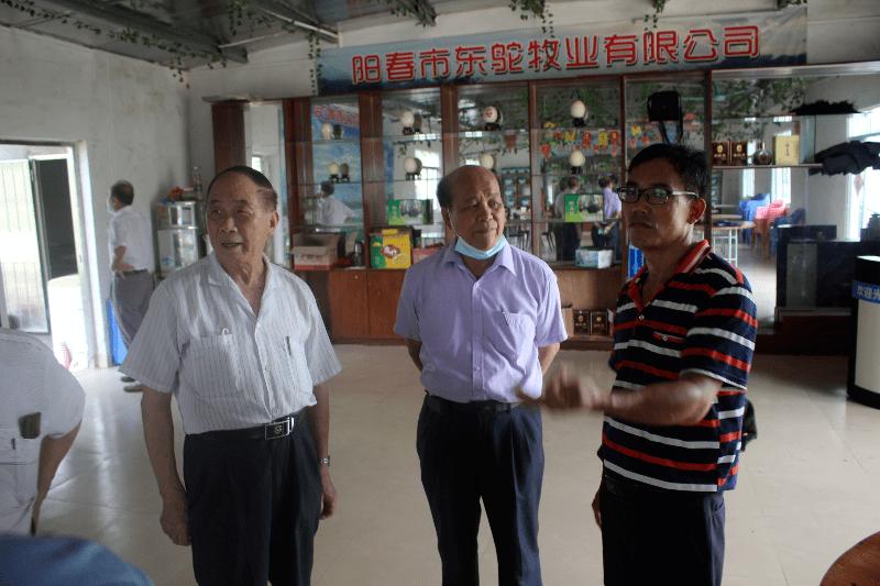 养殖鸵鸟致富,农村致富好帮手鸵鸟养殖