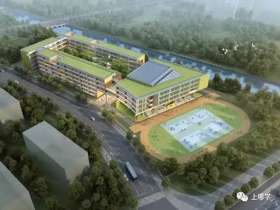 上海2020新增学位,上海各大学2024新增学位点