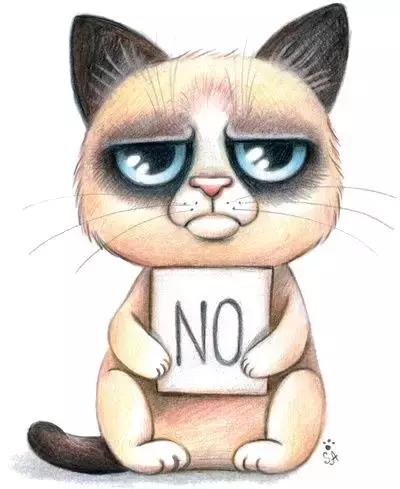 宿舍把小香猪养到300斤,大学生养小香猪