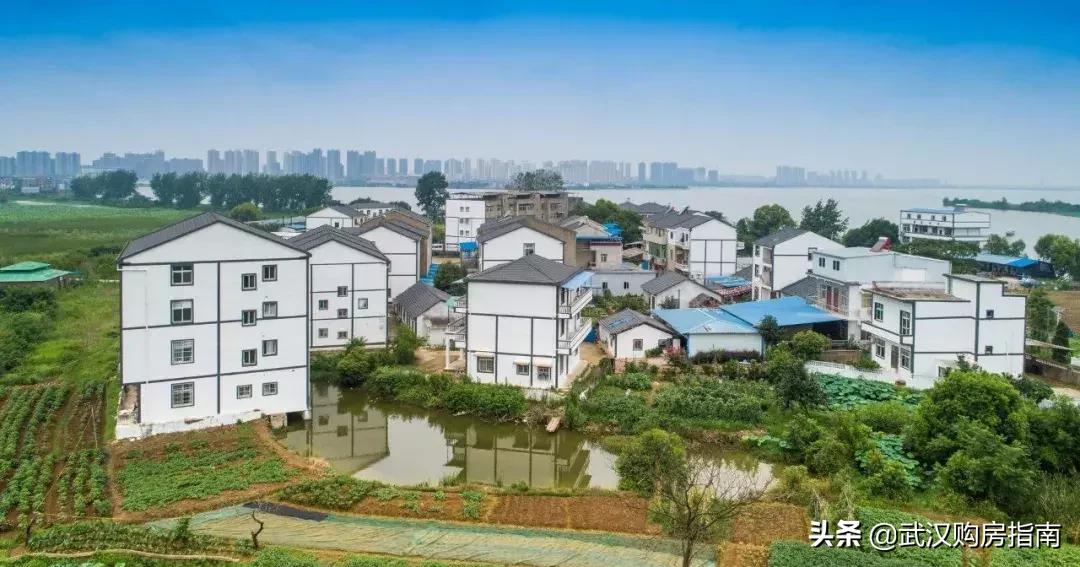 武汉盘龙城以后的趋势,武汉一路向前