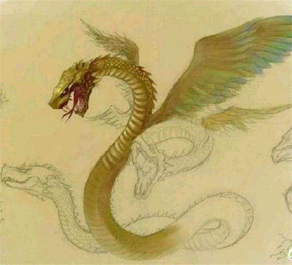 十二生肖蛇的来历是什么,十二生肖蛇的简短来历