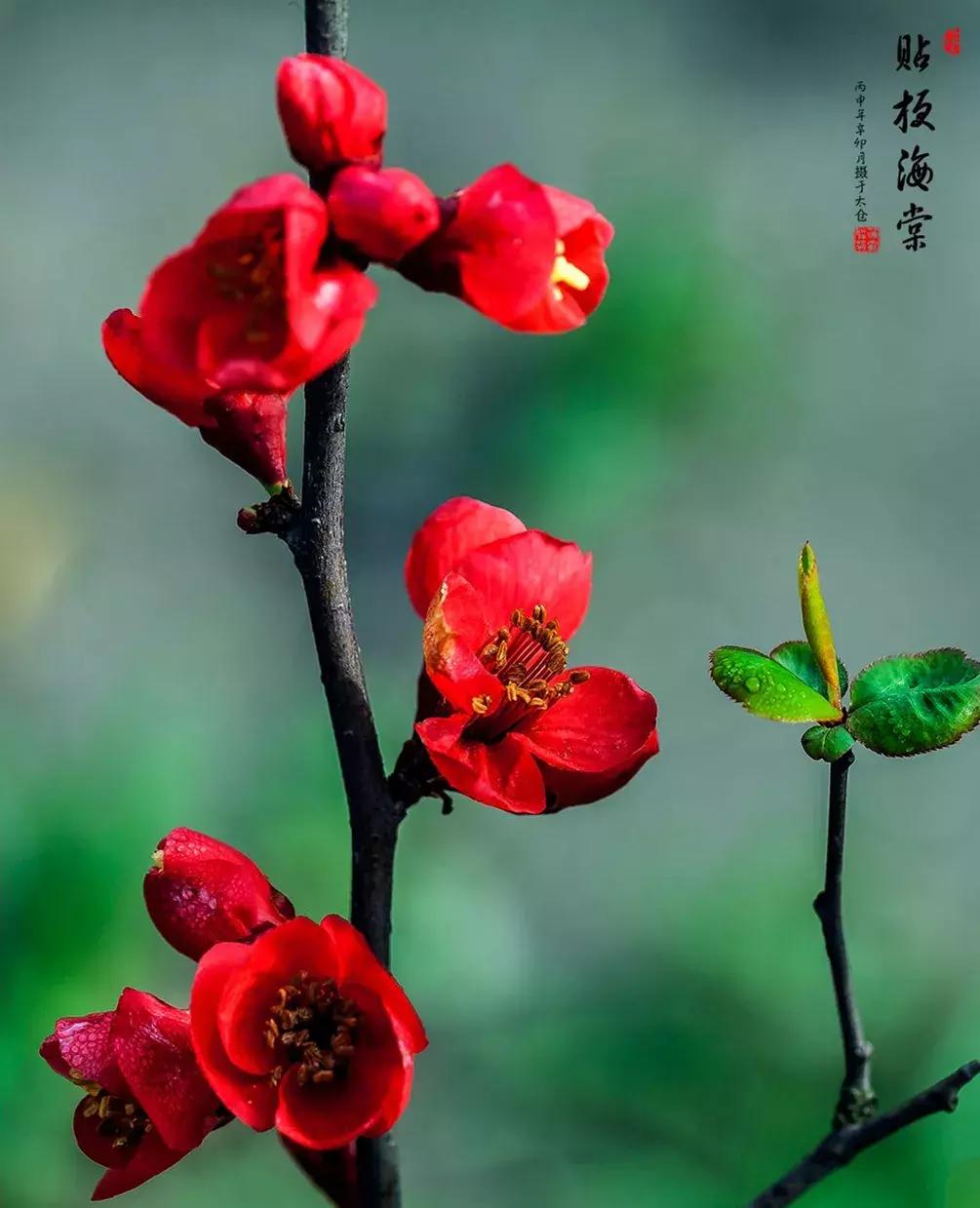 宋扬小说欣赏——生活用力过猛