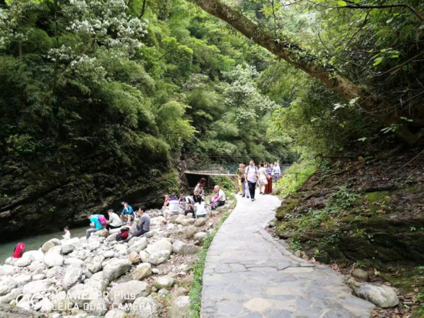 重庆黑山谷避暑适合吗,重庆避暑7天黑山谷