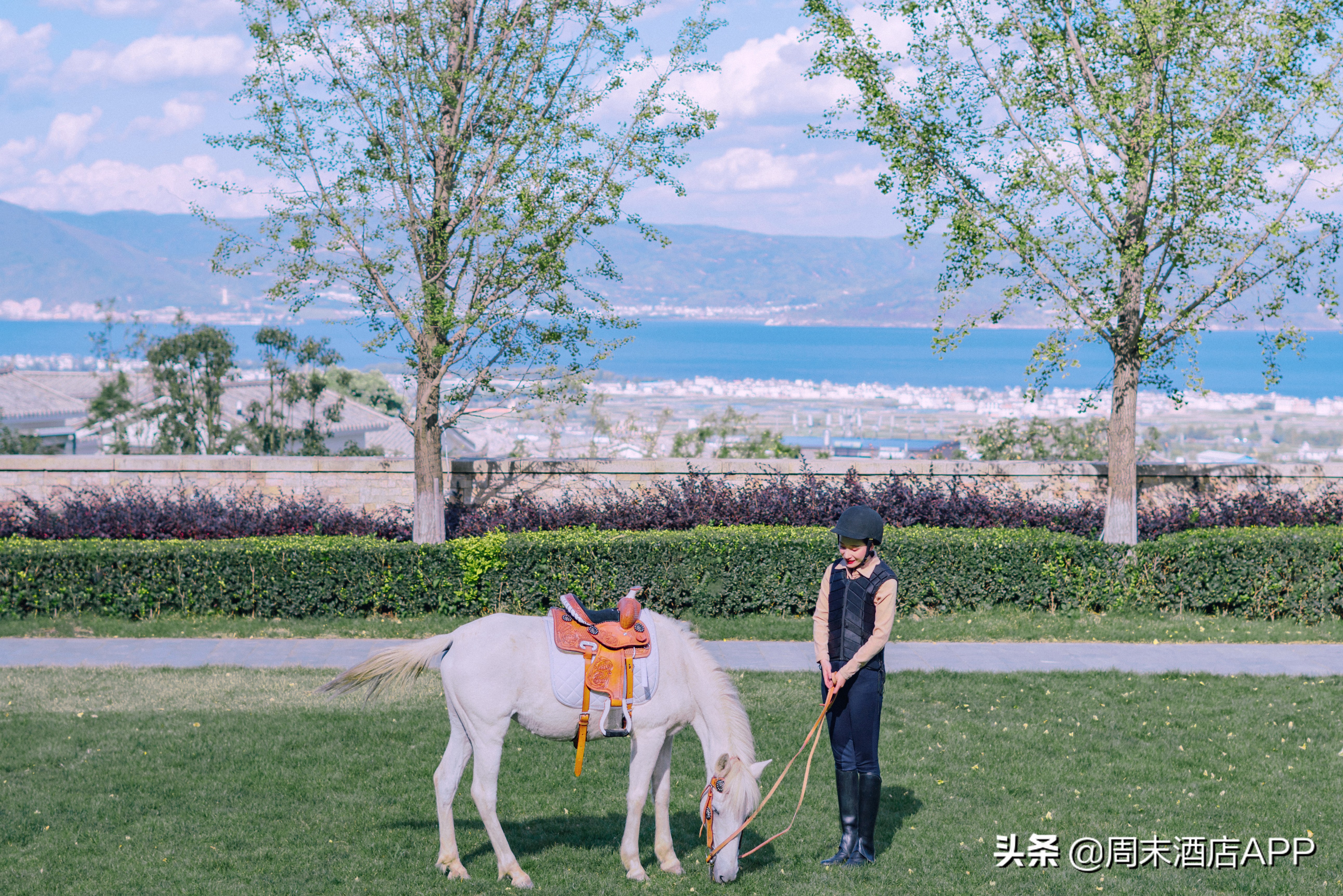 大理古城旁漫步洱海苍山脚下民宿,大理洱海排名前十的悬崖酒店