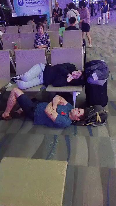 搞笑段子,搞笑动图gif微信可爱表情包