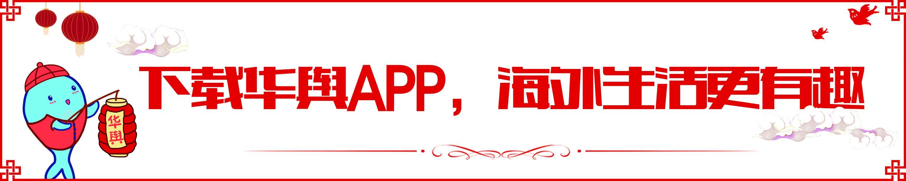 坐飞机的选座技巧,飞机座位怎么选选座费怎么交