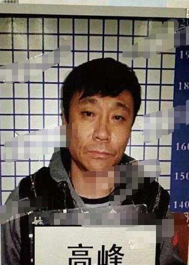 他劈腿,高峰那英分手