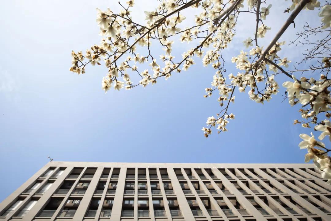 杭州美职学校风景,杭州美丽学校评选