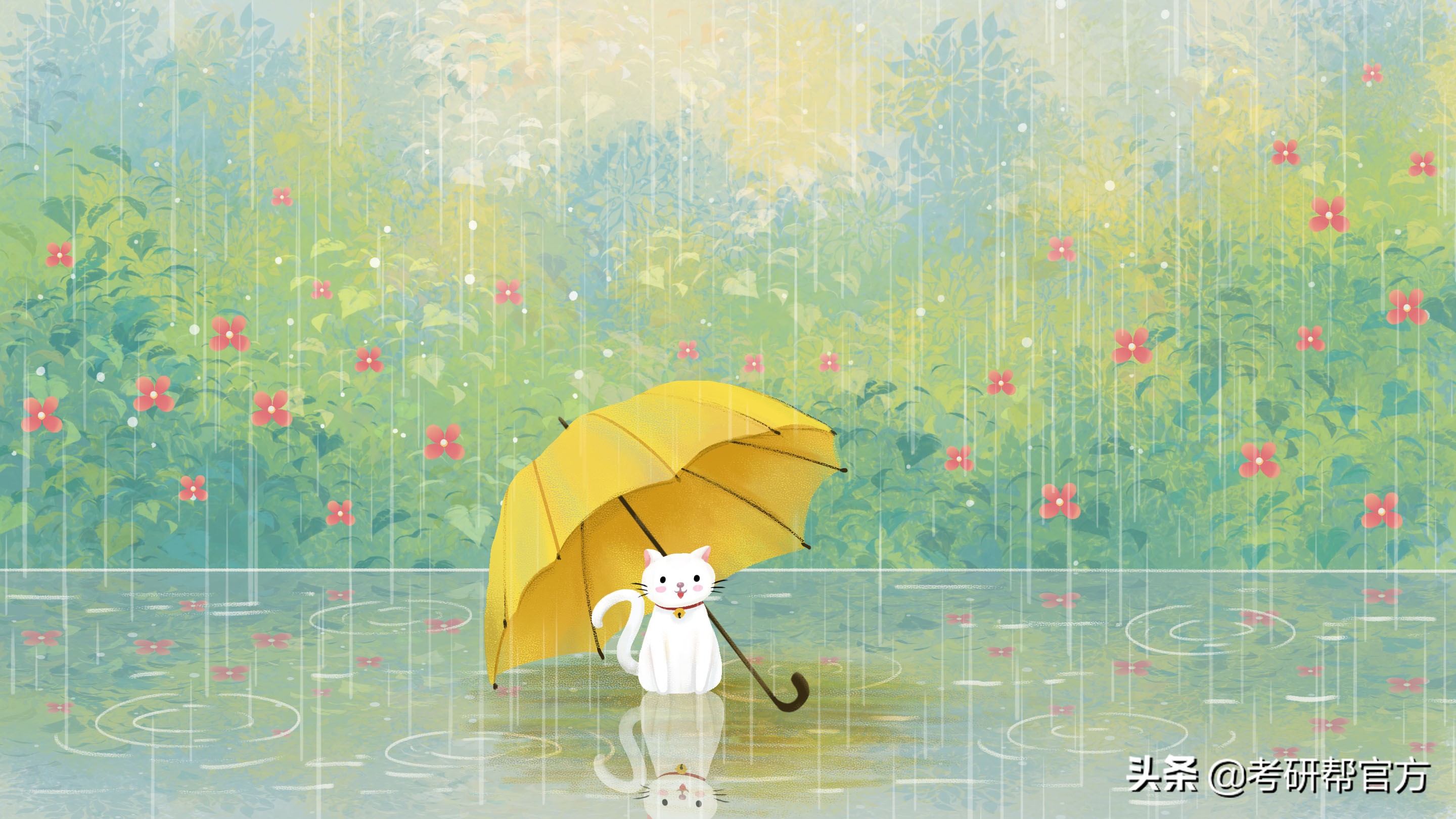 张雪峰谈考研复试技巧,考研复试技巧视频大全