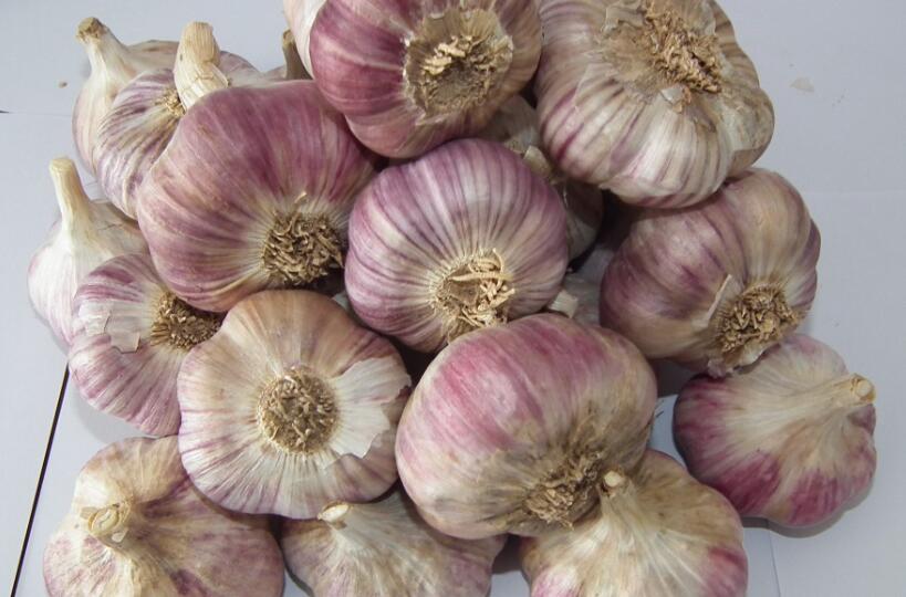 怎么用指甲剥蒜剥得快,剥蒜不伤指甲的妙招