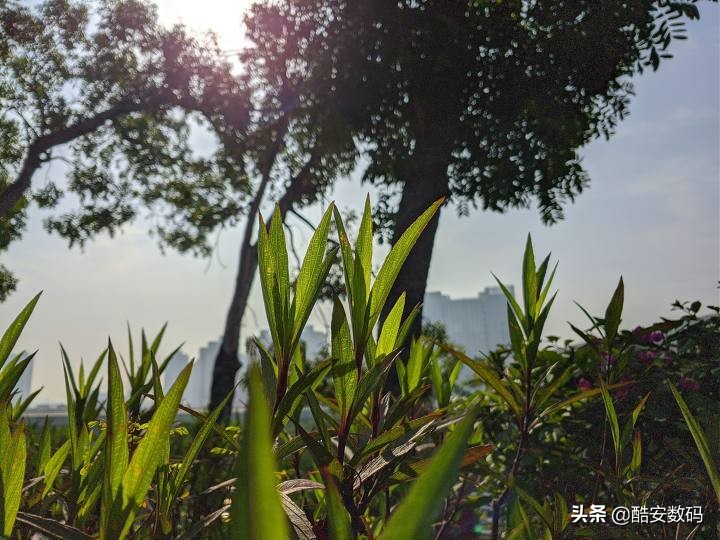 lgg8最大缺点,lgg8深度解析