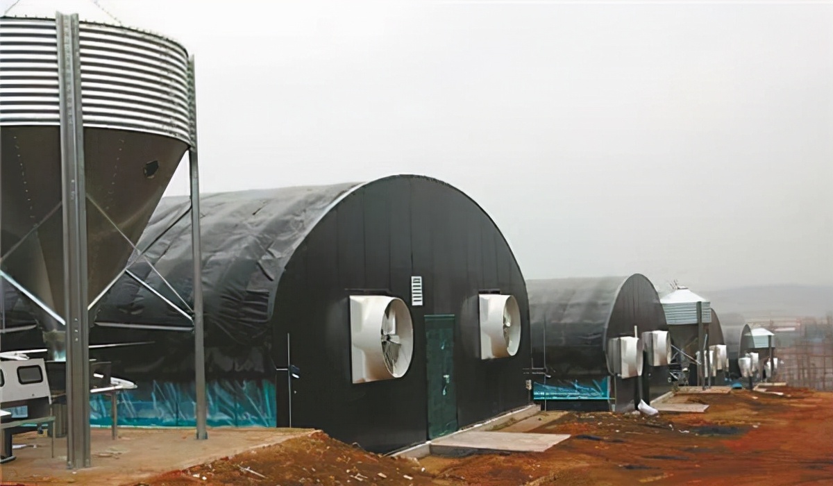 新型农村养殖大棚建造,专业建养殖大棚小伙