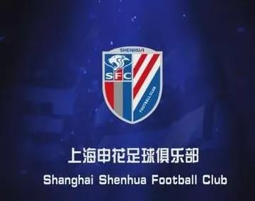 中国足球职业化排名,深度分析中国足球发展之路