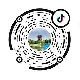 大洋湾沙滩排球锦标赛,大洋湾沙滩排球赛