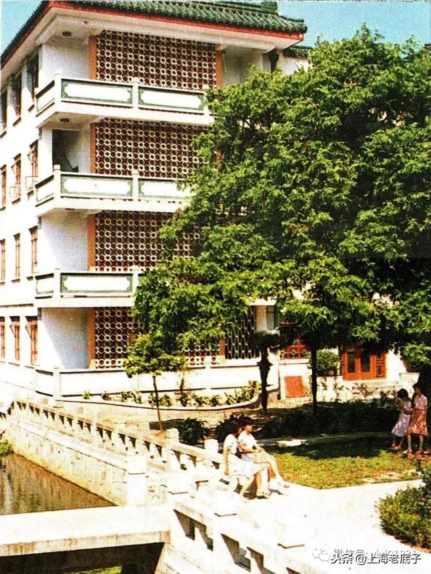 「川沙县篇」回望上世纪八九十年代的上海学校，有侬的母校伐？