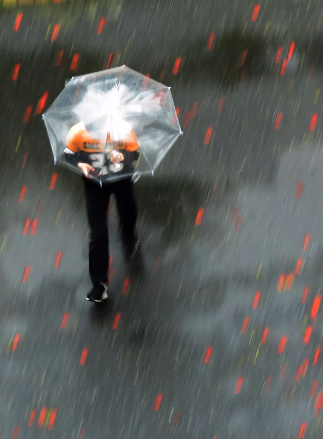 毕业季的凤凰花和栀子花,毕业季凤凰花开的时候