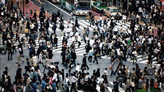 中国人的努力，在泰国历史上是出了名的！