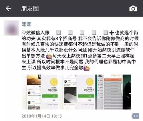 净网2019骗局视频,净网2019最后的骗局