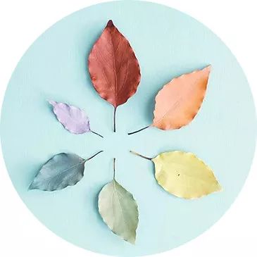 2016两岸斗茶茶王争霸赛,2021两岸茶王赛