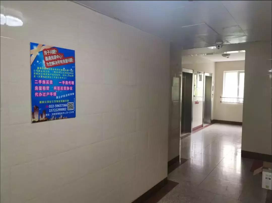 天之骄子是啥意思,天之娇子啥意思