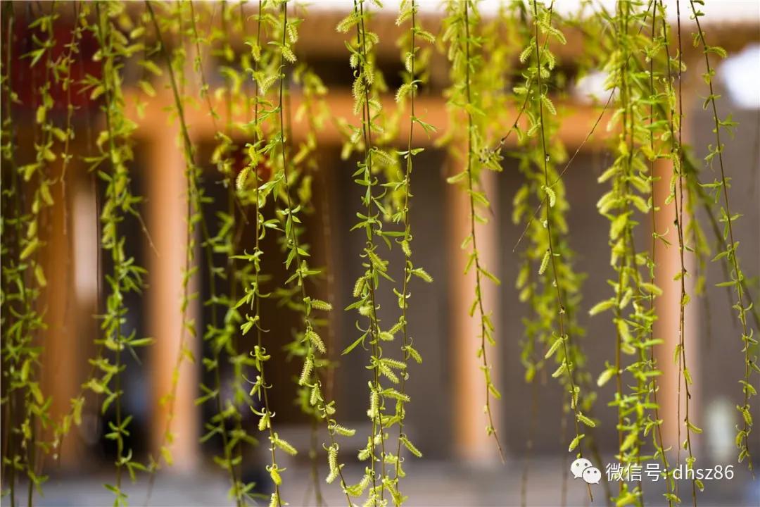 敦煌山庄游玩攻略,敦煌山庄旅游攻略