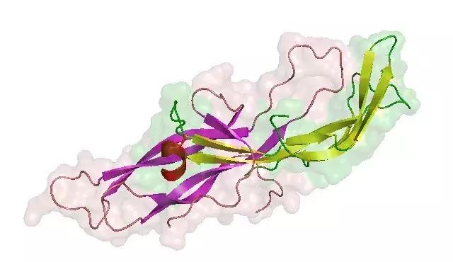 为什么孕妇间歇性孕吐,孕期为什么会导致孕吐