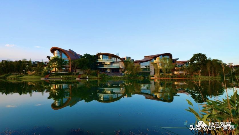 一个具备网红潜质的品质项目