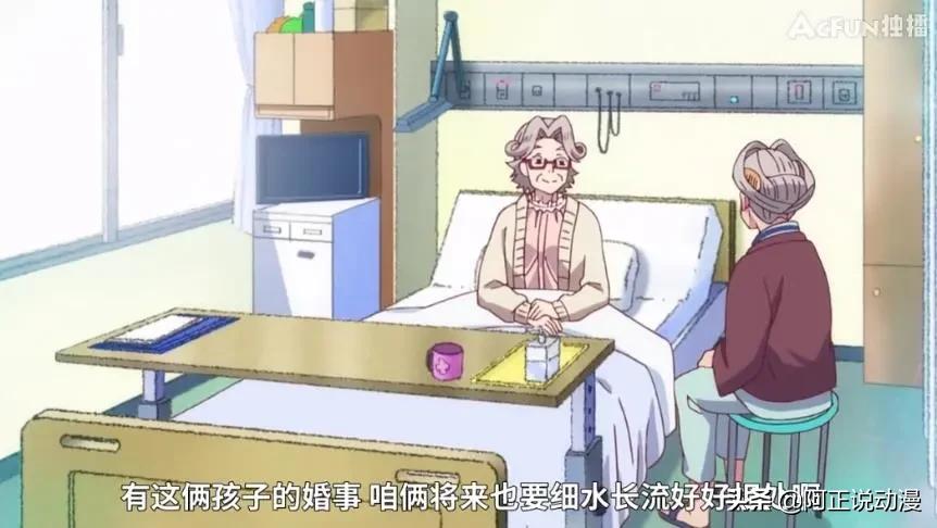 a站的镇站之宝,a站万恶之源