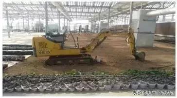 国家对光伏农光互补的政策,友阳光伏