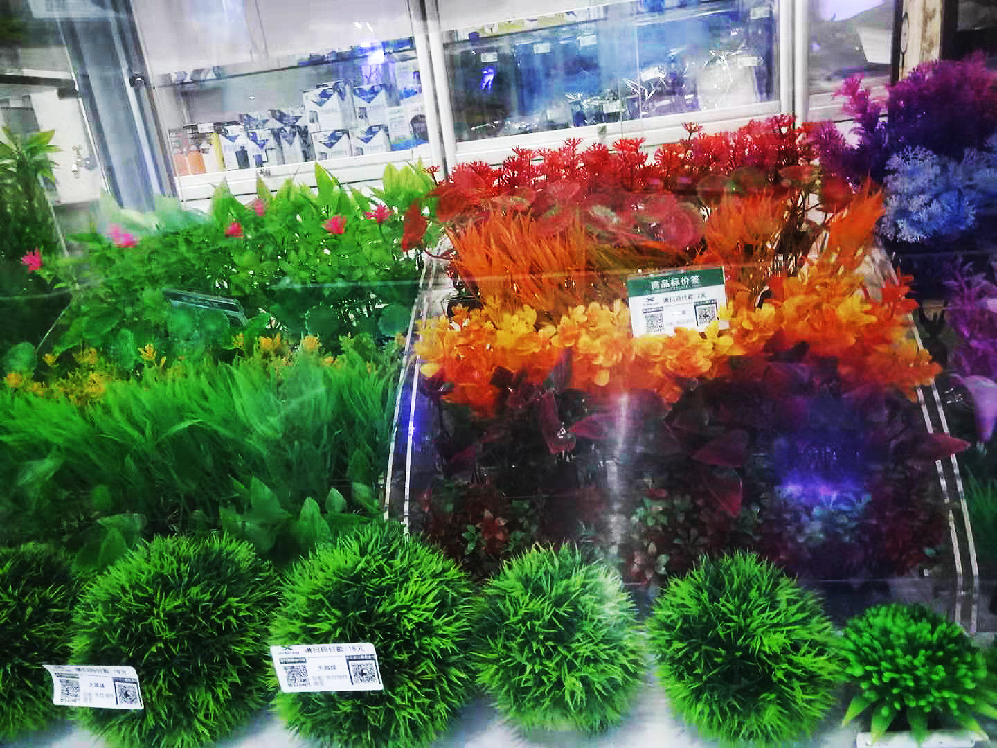 鱼缸能用塑料水草吗,塑料水草怎么消毒