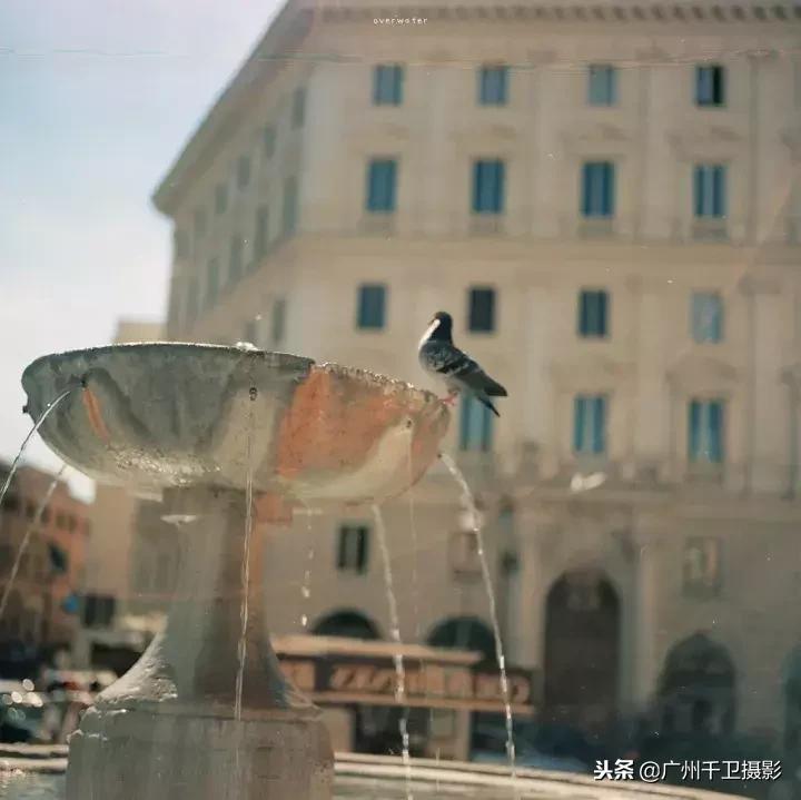 摄影必学的9种构图方法,摄影萌新必学12个构图技巧