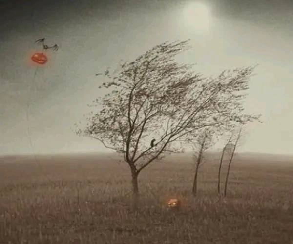 为啥经常梦到去世的人,为什么经常梦到死去的人又活了