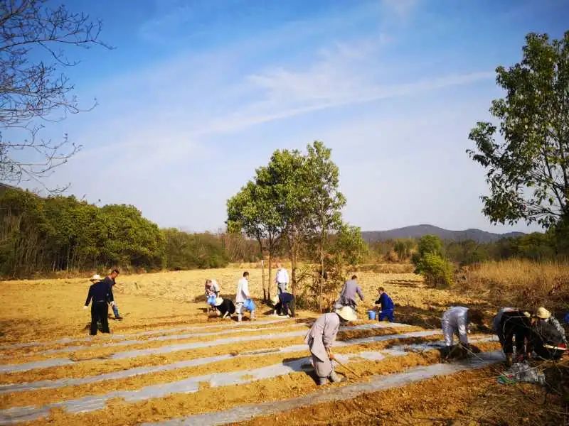 抢抓农时开展农业生产,农民纷纷抢抓春耕生产有利时机