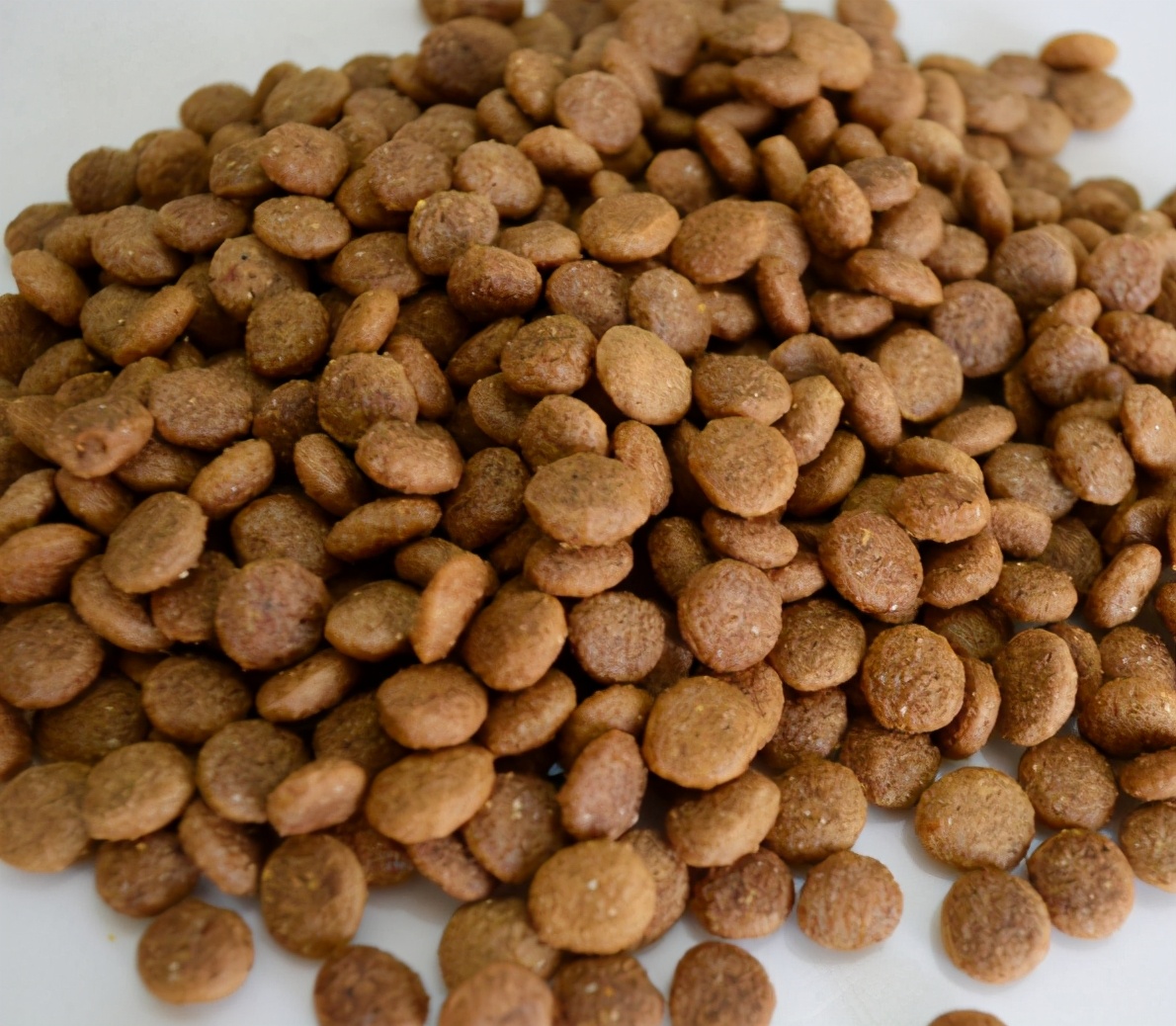 小贵宾犬狗粮怎么选好的,贵宾犬吃什么牌子的狗粮实惠