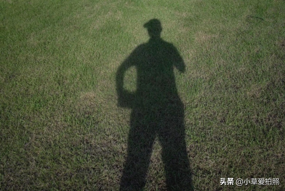 山东威海羊亭湿地公园游记,威海站到羊亭湿地公园