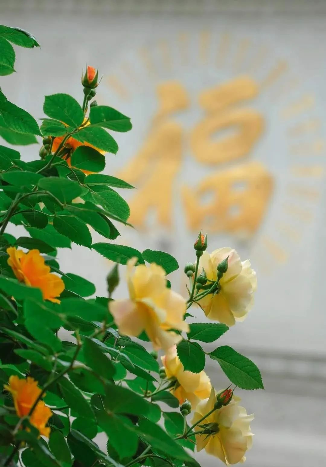 成都夜环线好玩的地方,成都四天三夜小环线