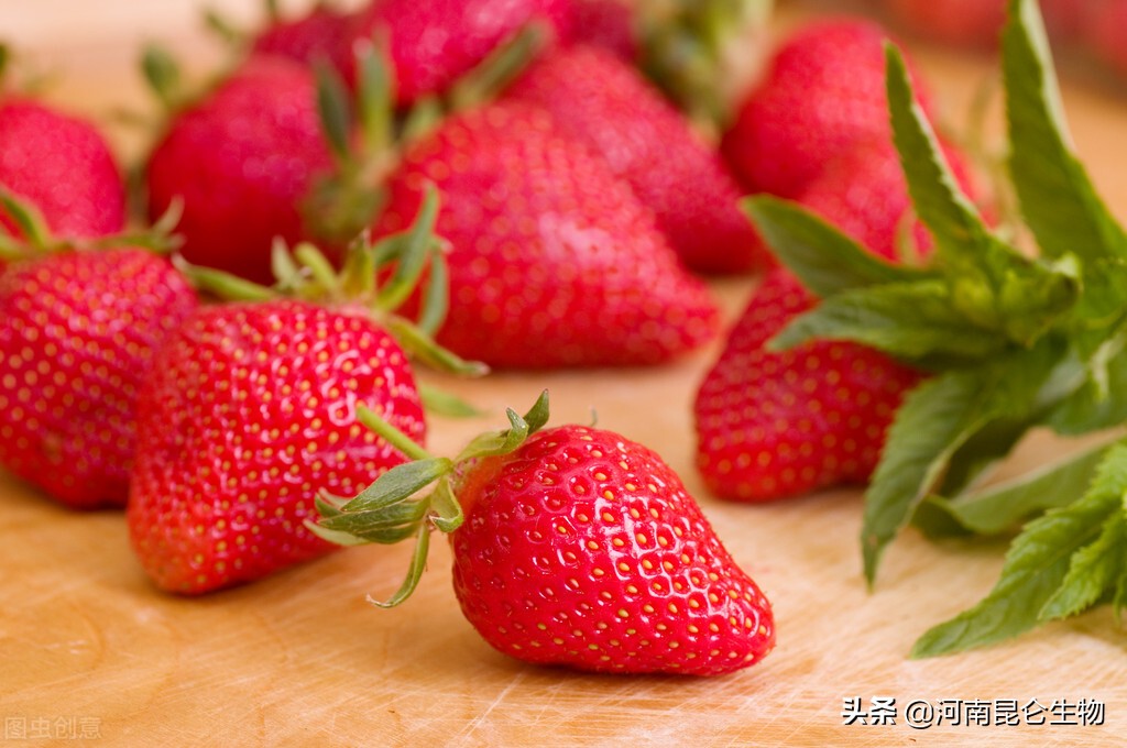 草莓烂根补救方法,草莓烂根病怎么防治