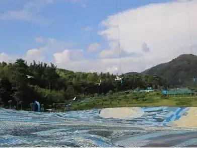 暑假两个月太无聊怎么办,暑假2个月无聊怎么办